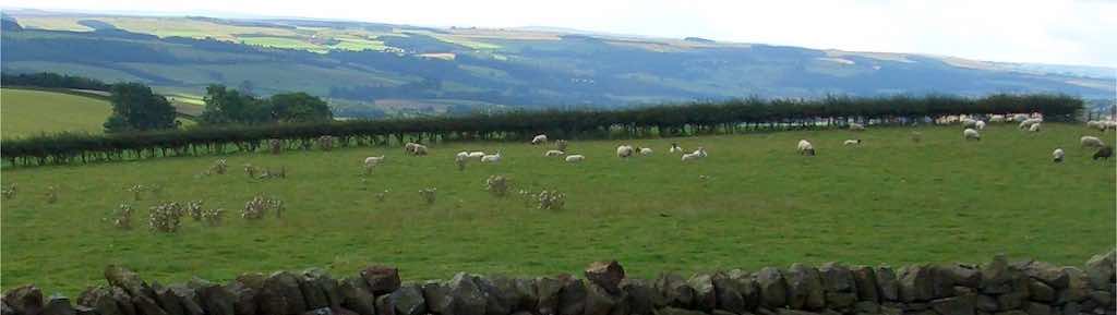 View South from Carr Edge Farm